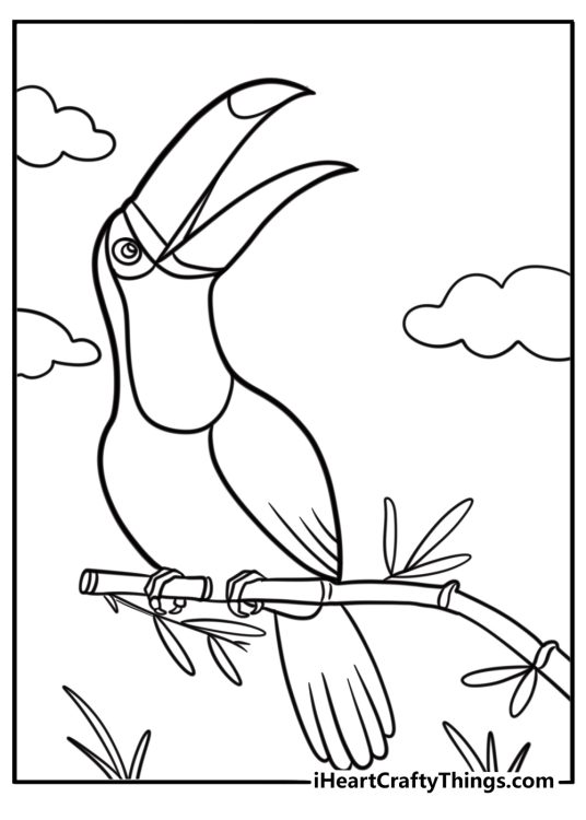 Toucan looking at the sky detailed coloring sheet