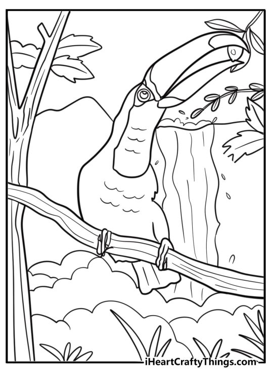 Toucan near a waterfall detailed coloring sheet