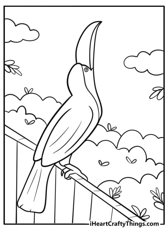 Toucan resting on a wooden fence coloring page