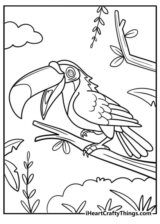 Toucan standing on one leg in the jungle printable coloring sheet