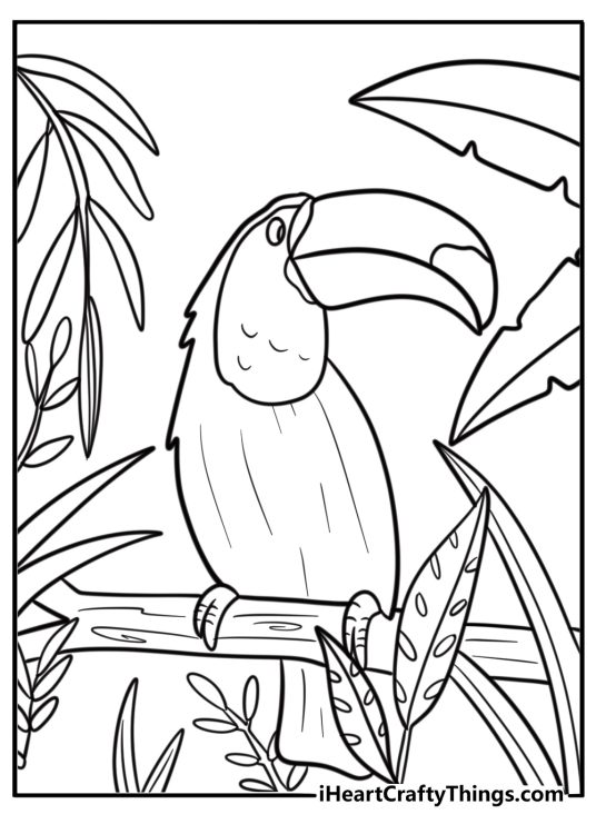 Toucan surrounded by tropical leaves coloring page