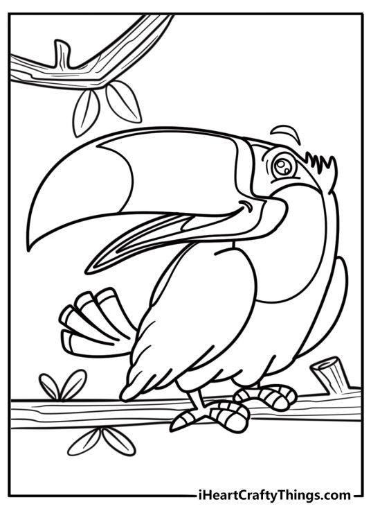 Toucan with a big beak looking to the side coloring sheet