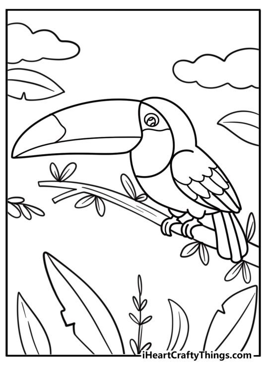 Toucan with a long curved beak free coloring page pdf