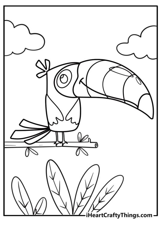 Toucan with a simple design for kids coloring page