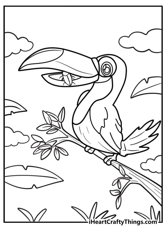Toucan with a small bug in its beak free coloring page pdf