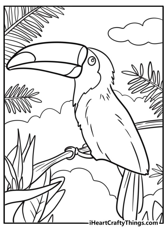 Toucan with colorful feathers sitting on a tree coloring page