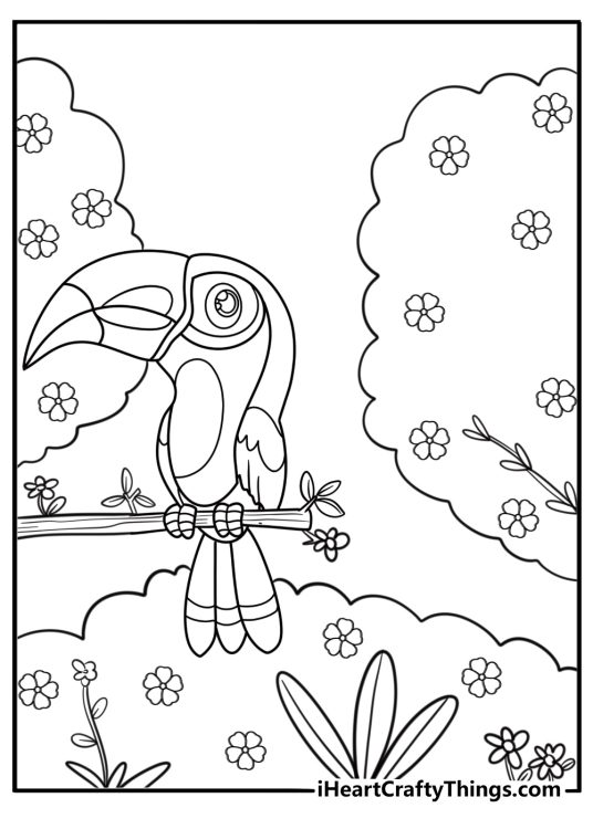 Toucan with flowers around it free coloring page pdf