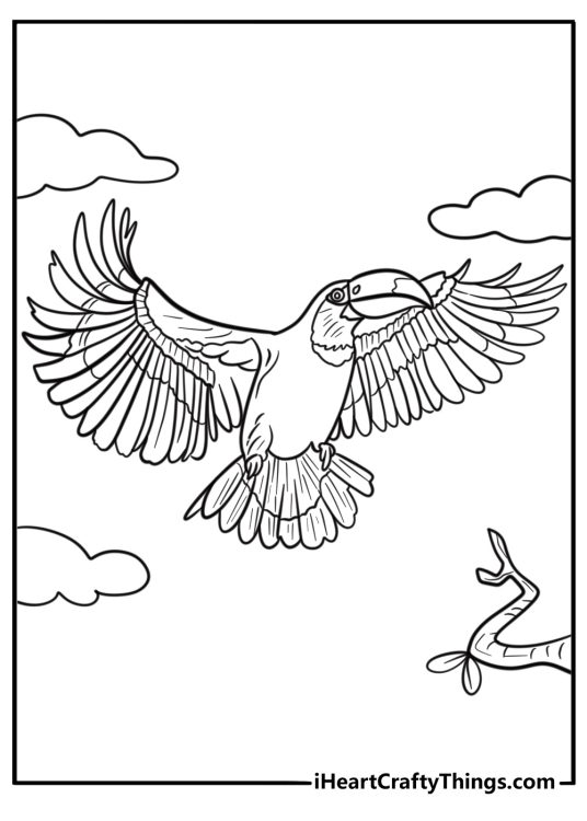 Toucan with open wings detailed coloring sheet