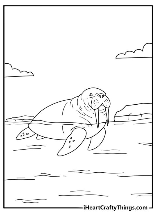 Walrus swimming near floating ice sheets fun printable coloring sheet