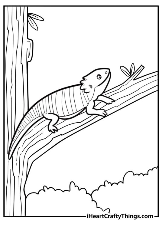 Bearded dragon climbing a branch coloring page