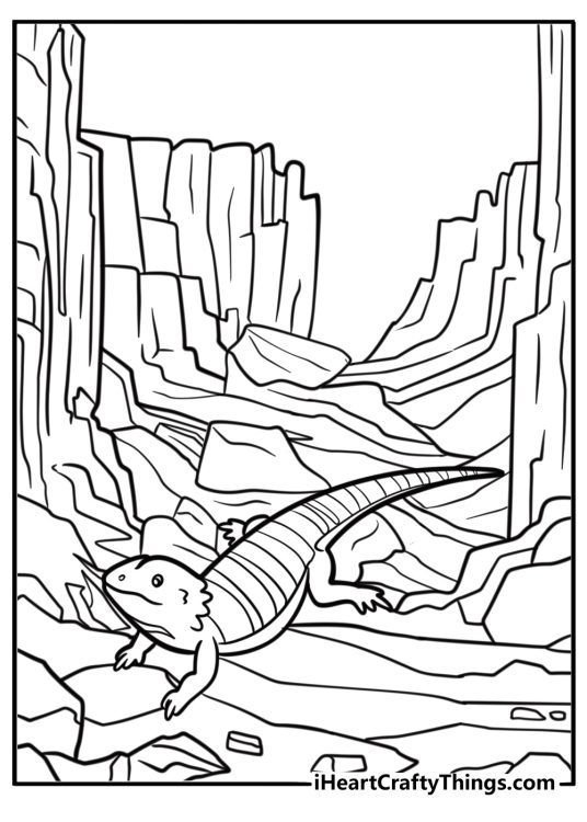 Bearded dragon in front of a background with rocks coloring page