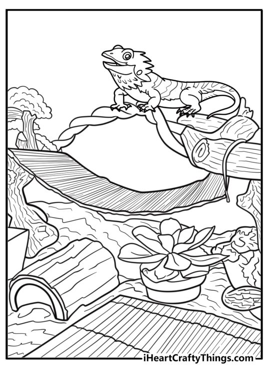 Bearded dragon inside a terrarium coloring page