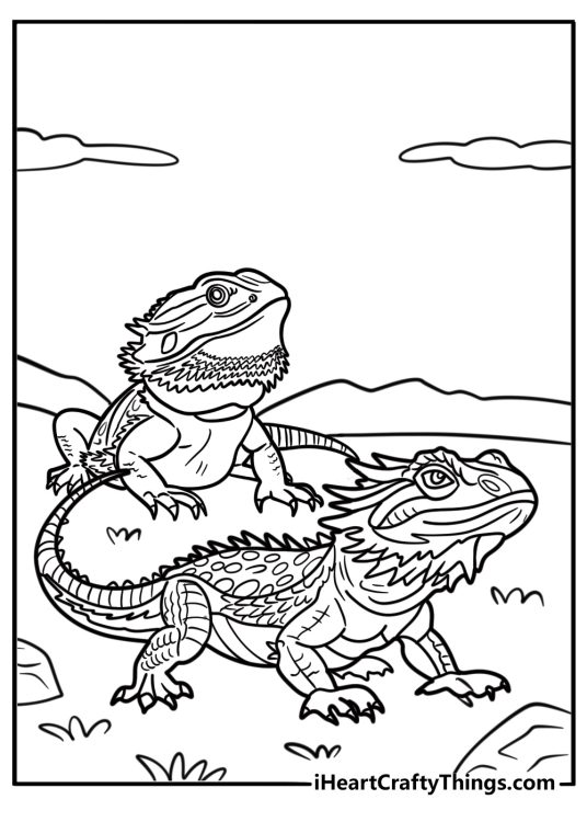 Bearded dragon interacting with another lizard coloring page