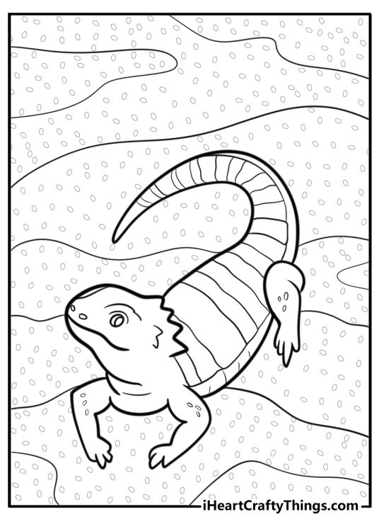 Bearded dragon lying in sand coloring page