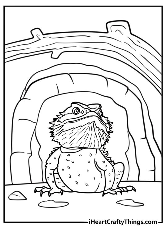 Bearded dragon near basking rock and heat source coloring page