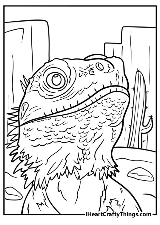Bearded dragon near desert plants coloring page