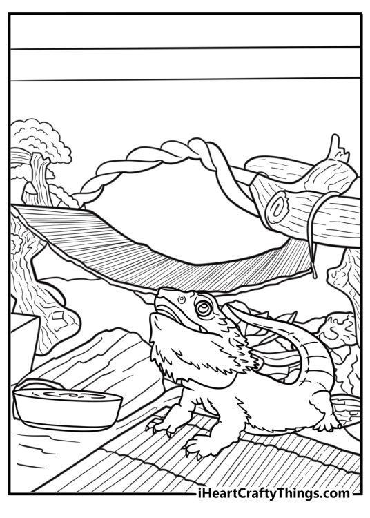 Bearded dragon next to a water bowl coloring page