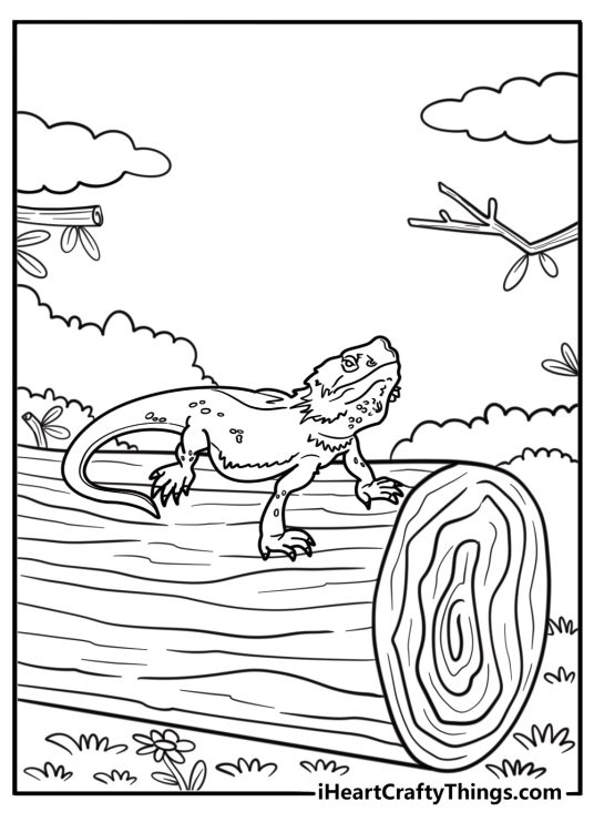 Bearded dragon resting on a log coloring page