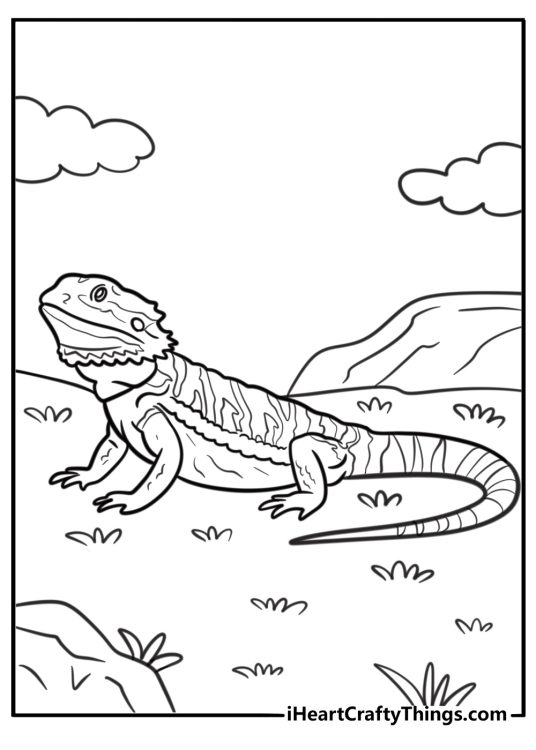 Bearded dragon shedding skin coloring page
