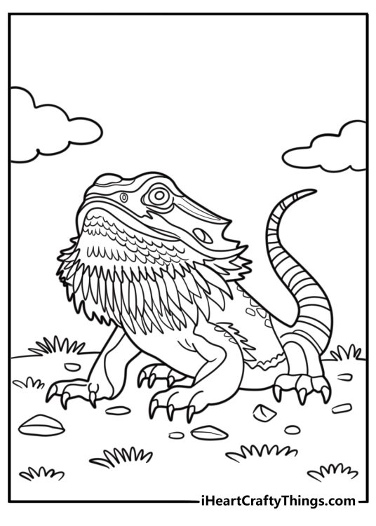 Bearded dragon showing its beard coloring page