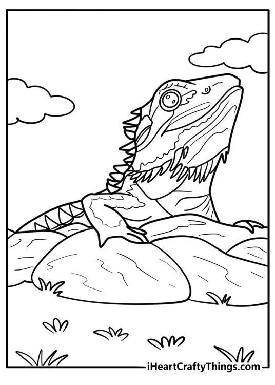 Bearded dragon sitting on a rock coloring page