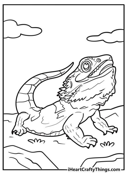 Bearded dragon stretching its body coloring page