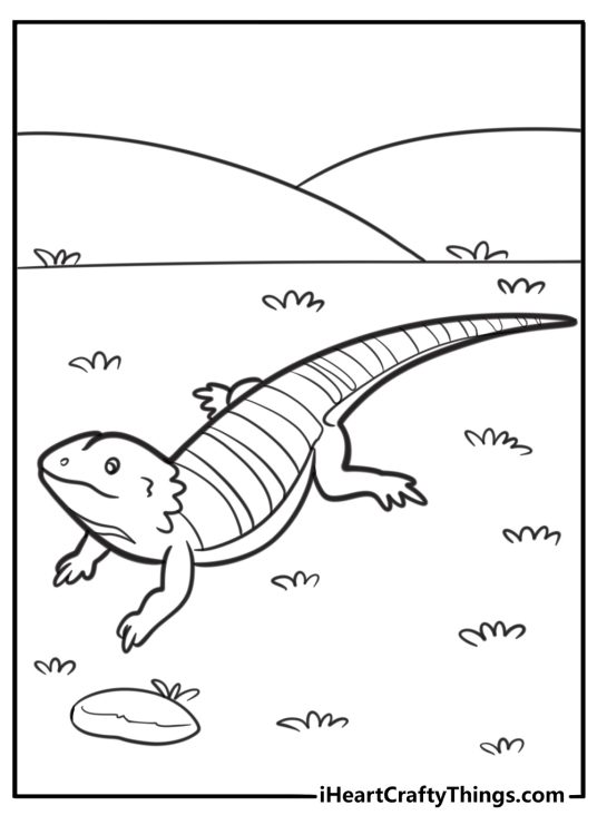 Bearded dragon walking on flat ground coloring page
