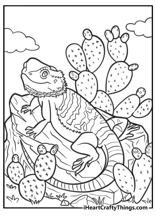 Bearded dragon with tail curled coloring page