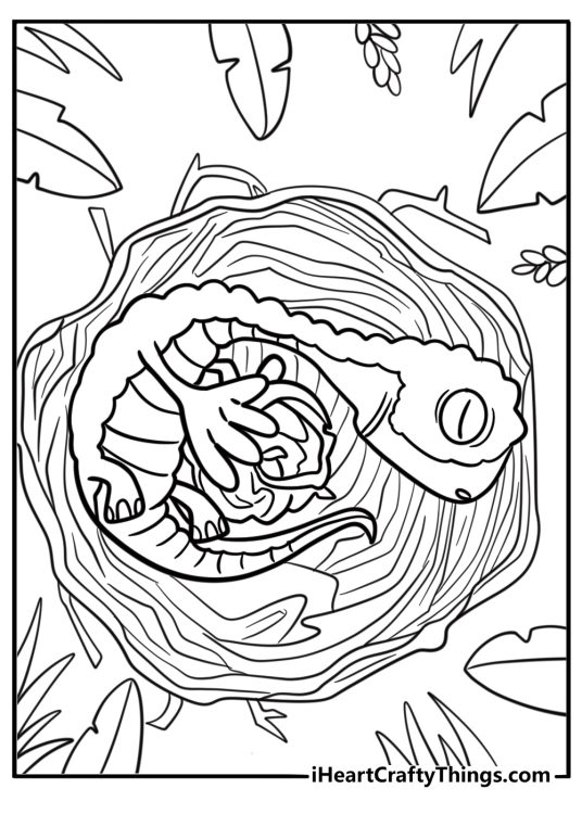 Bill curled up in a nest coloring page