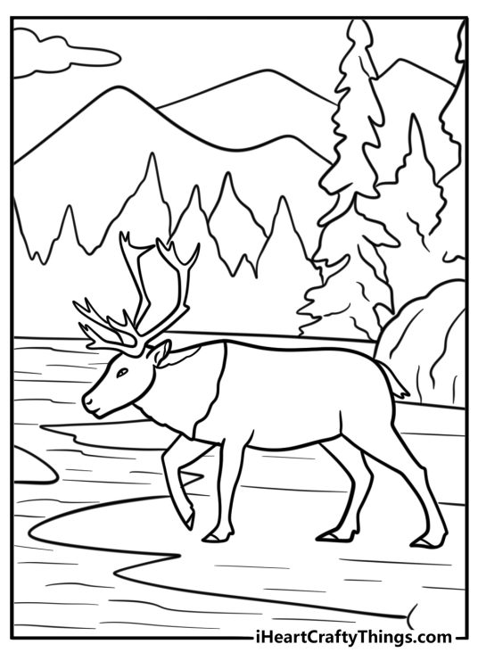 Caribou walking through the tundra coloring sheet