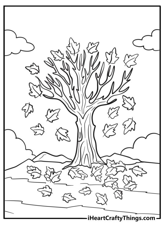 Maple leaf falling from a tree coloring page