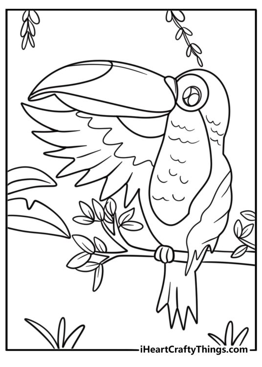 Toucan waving coloring page