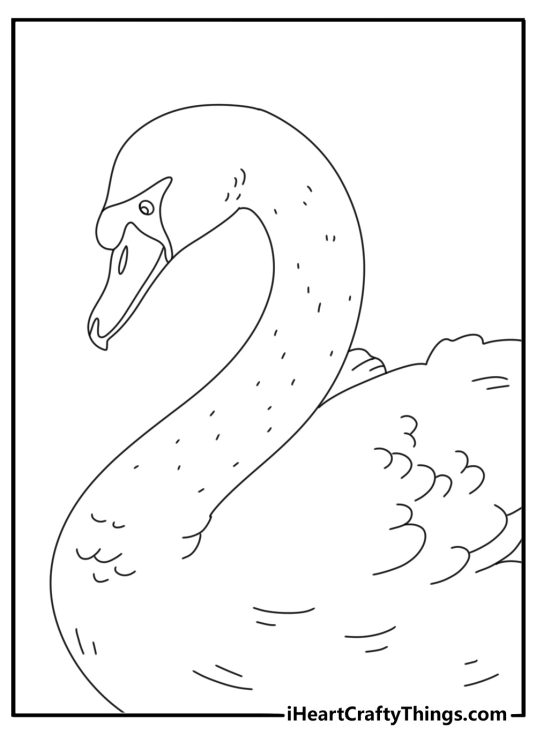 A simple swan coloring sheet shows a long neck and curved beak
