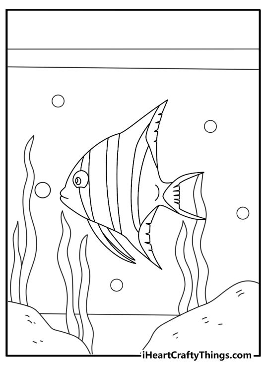 Angelfish coloring sheet with an angelfish weaving through tall aquarium grass
