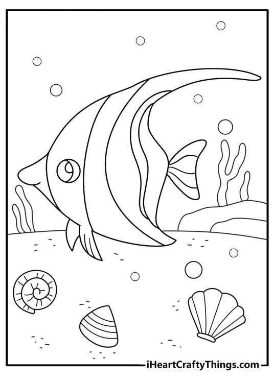 Free printable angelfish coloring sheet with an angelfish near a seashell