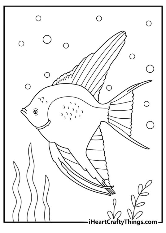 Simple angelfish coloring page with a diamond shaped fish and thin fins