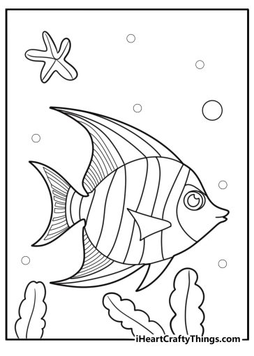 Angelfish coloring pages