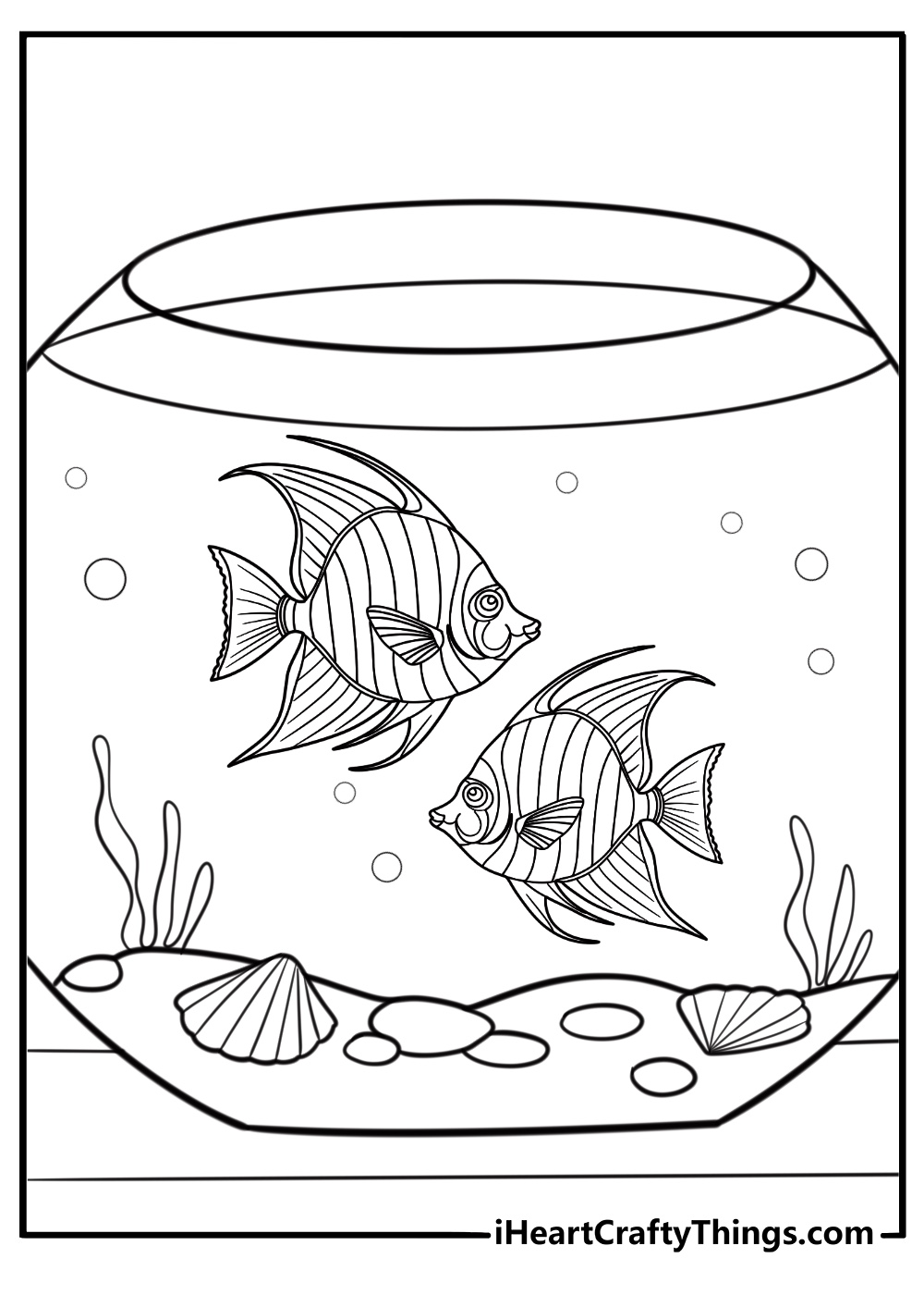 Angelfish in a home aquarium coloring page