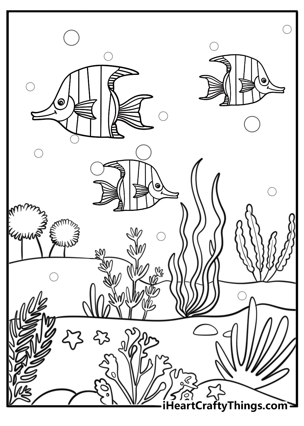 Angelfish in a peaceful reef environment coloring page