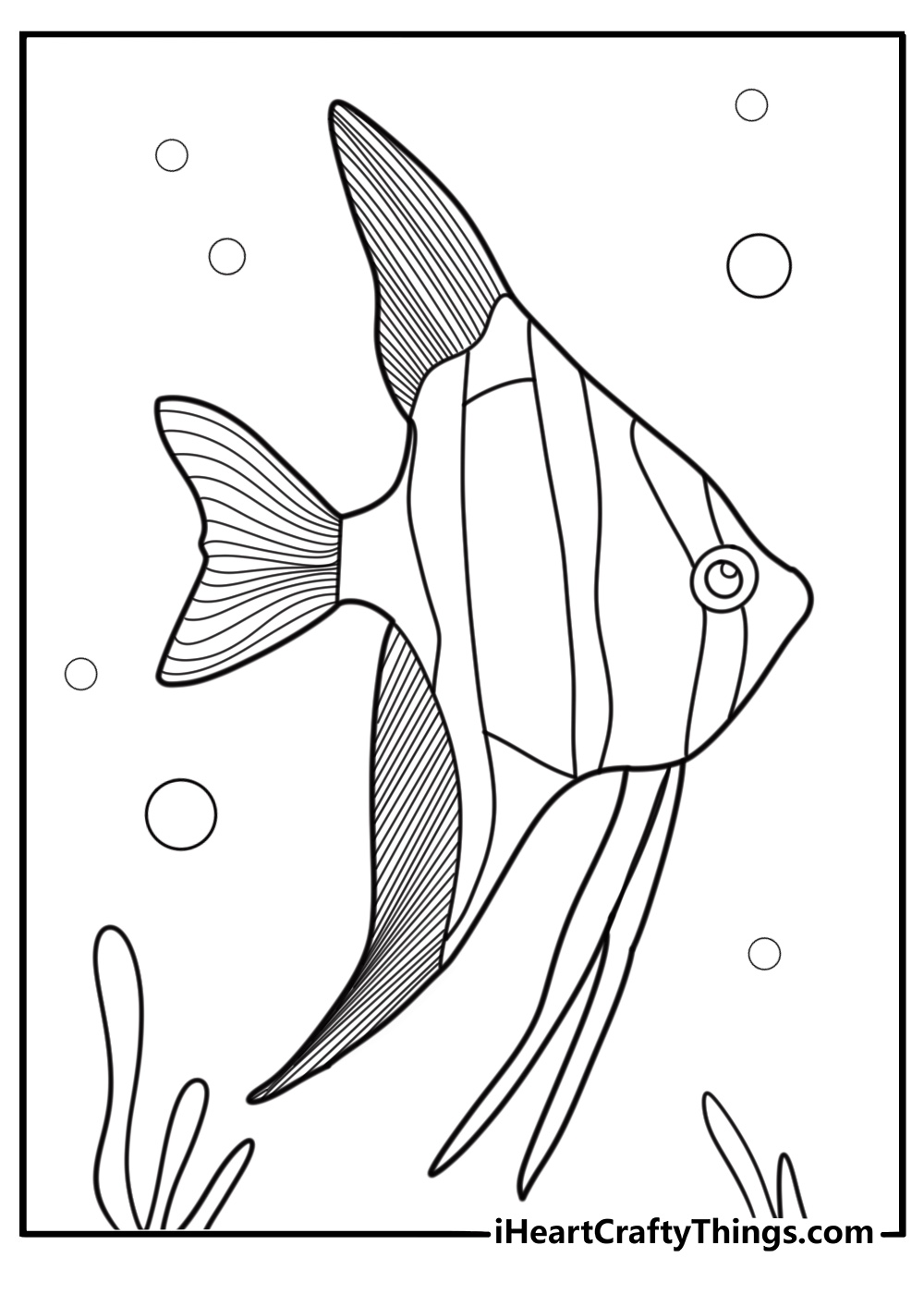 Angelfish with long flowing fins coloring page