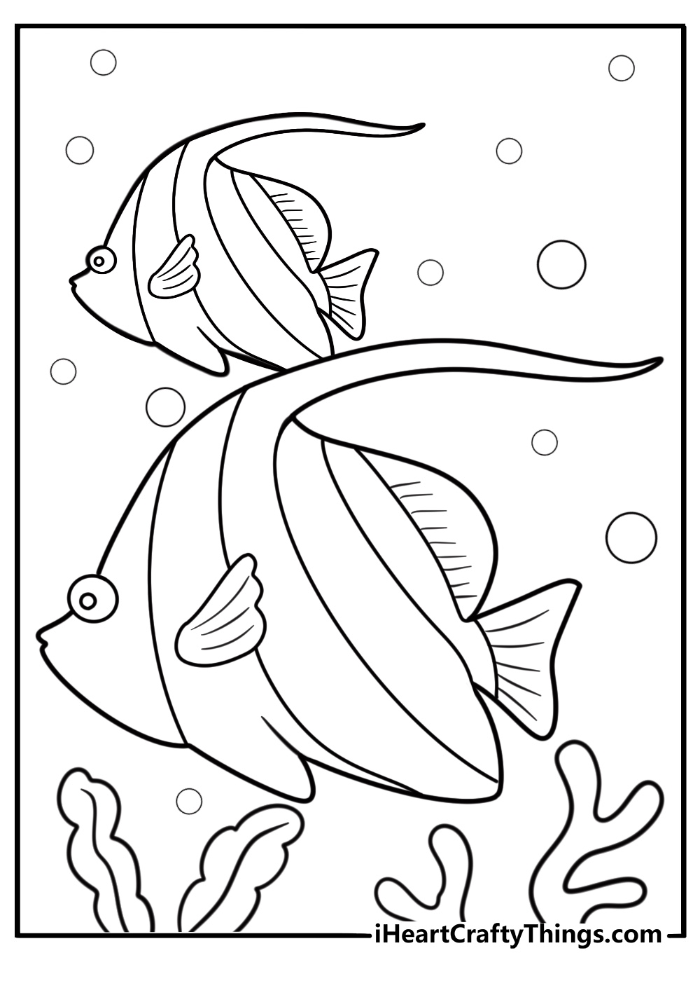 Angelfish with rounded dorsal fins coloring page