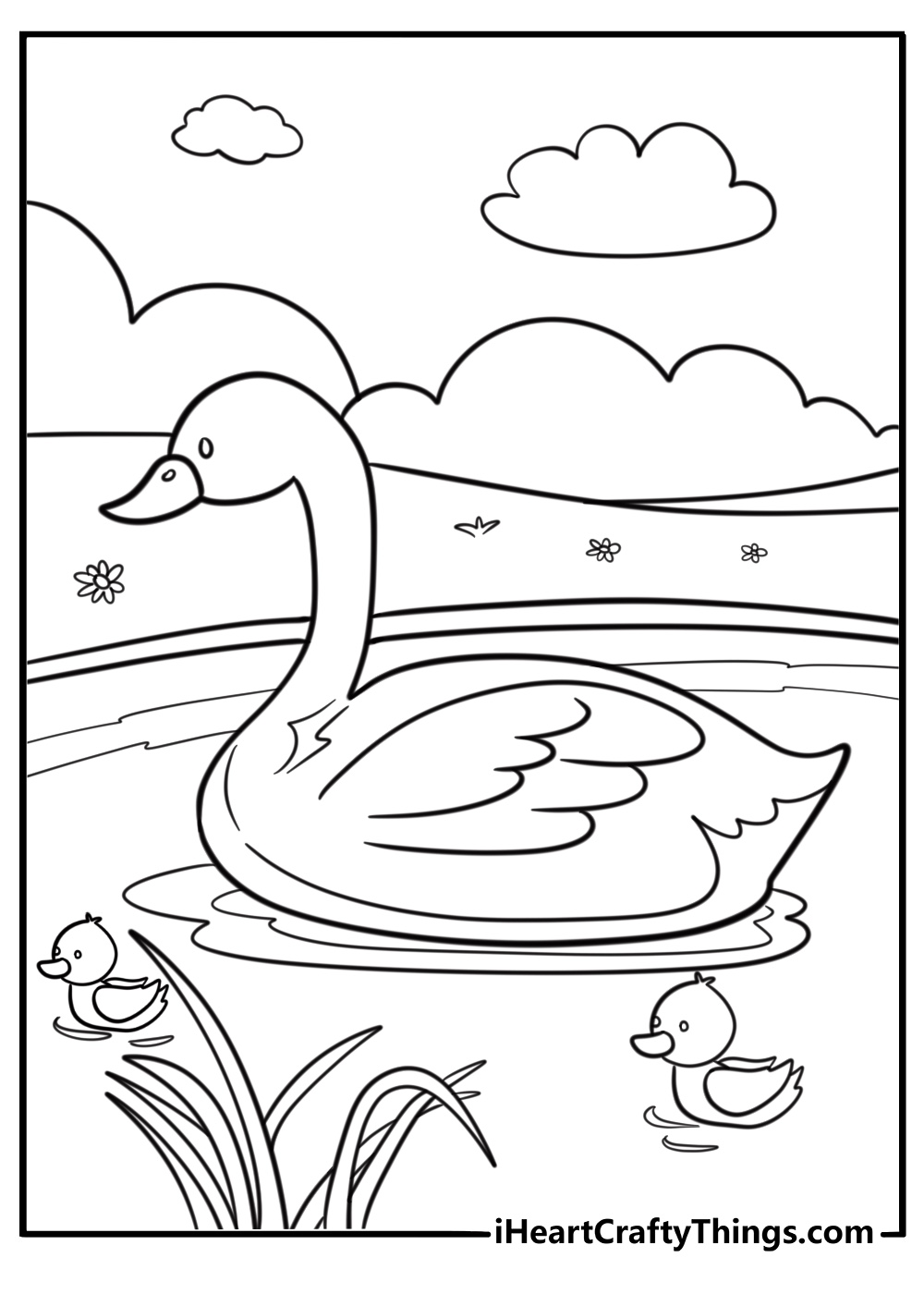 Baby cygnet learning to swim with mother swan fun printable coloring sheet