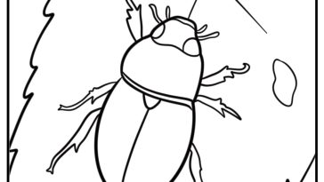 Beetle coloring pages