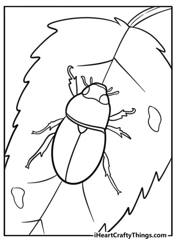 Beetle coloring pages
