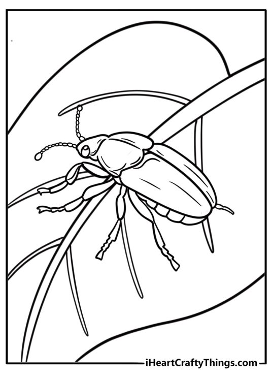 Beetle crawling on a leaf coloring page