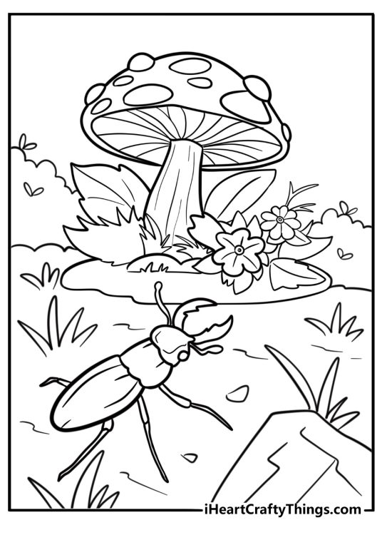Beetle exploring a garden coloring page