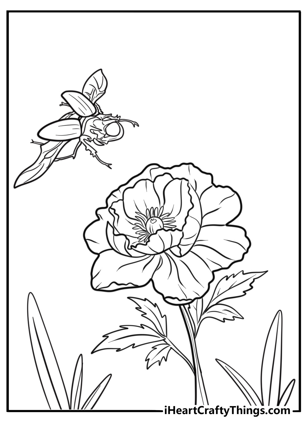 Beetle flying above flowers coloring page
