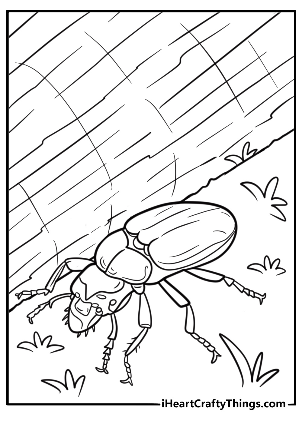 Beetle hiding under a log coloring page