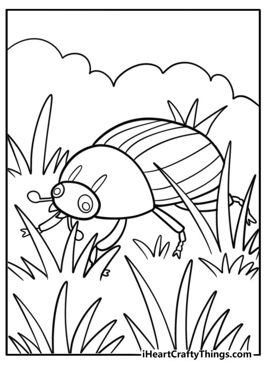 Beetle moving through tall grass coloring page