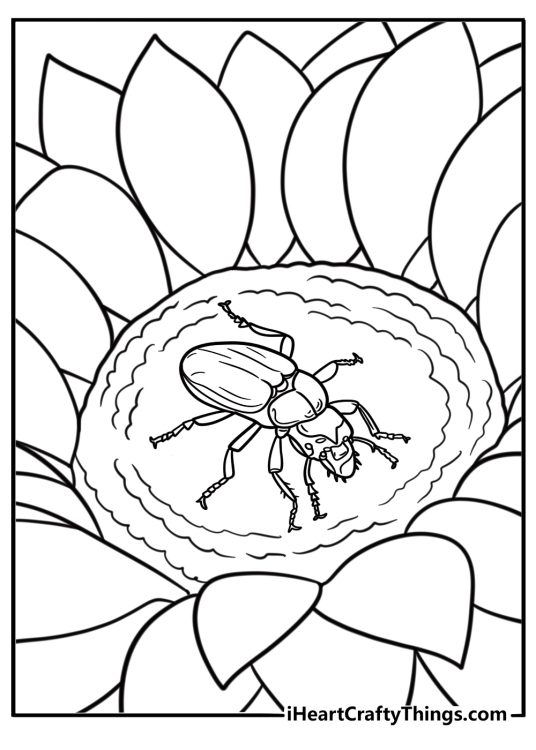 Beetle resting on a sunflower coloring page